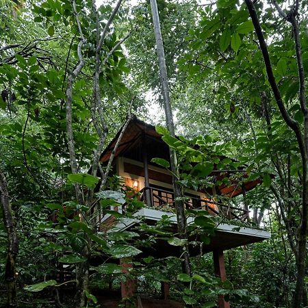Coffee Acres Resort Kalpetta Εξωτερικό φωτογραφία