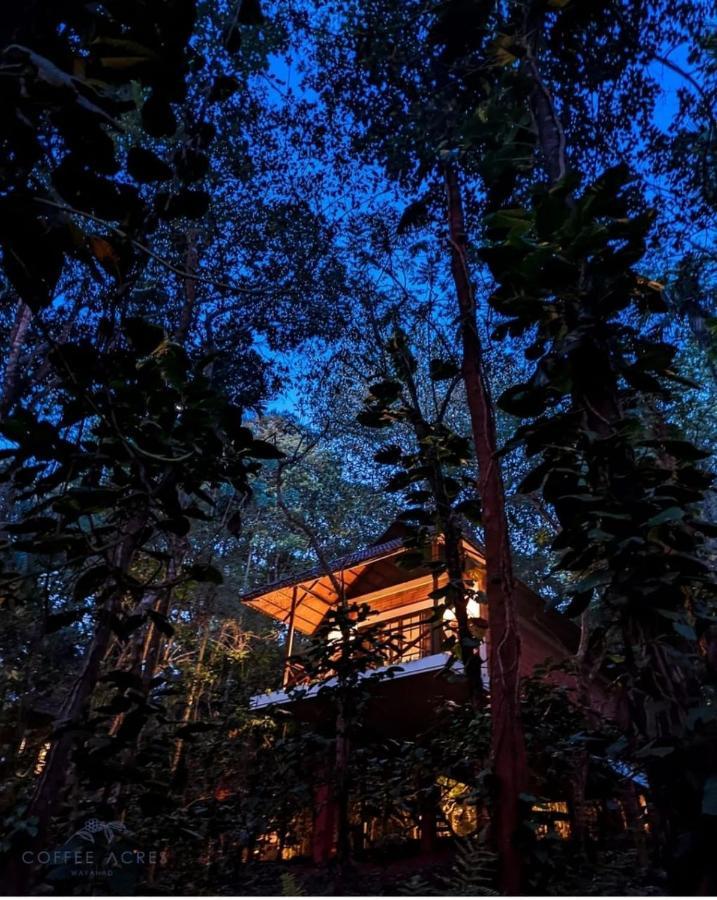 Coffee Acres Resort Kalpetta Εξωτερικό φωτογραφία