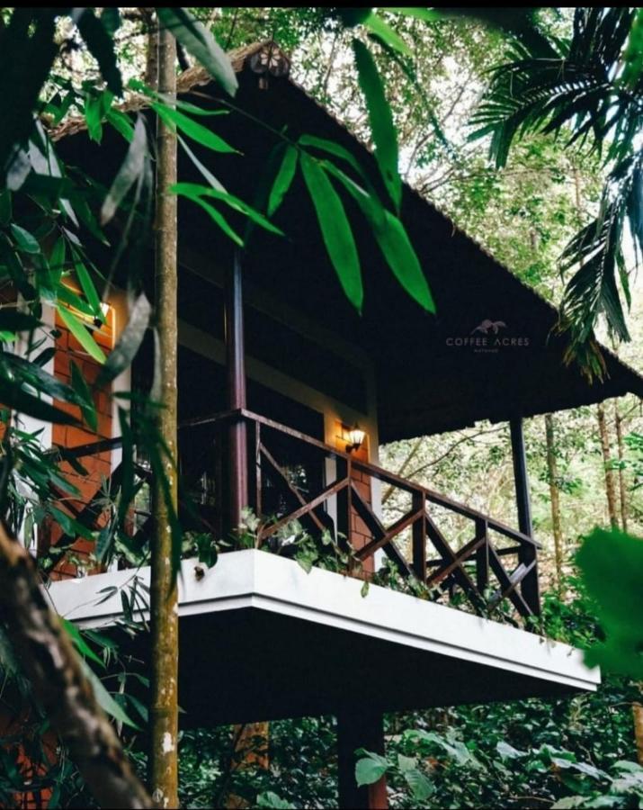 Coffee Acres Resort Kalpetta Εξωτερικό φωτογραφία