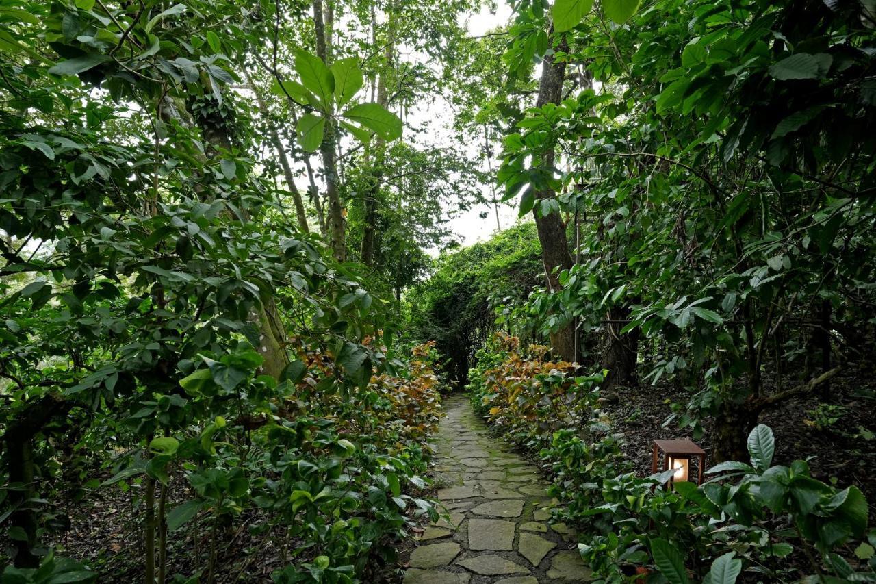 Coffee Acres Resort Kalpetta Εξωτερικό φωτογραφία