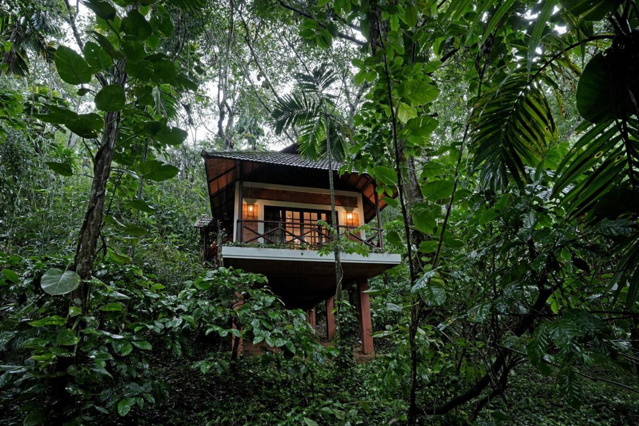 Coffee Acres Resort Kalpetta Εξωτερικό φωτογραφία