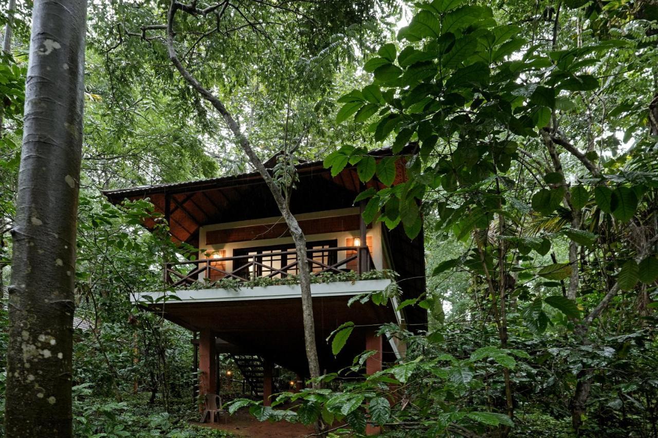Coffee Acres Resort Kalpetta Εξωτερικό φωτογραφία