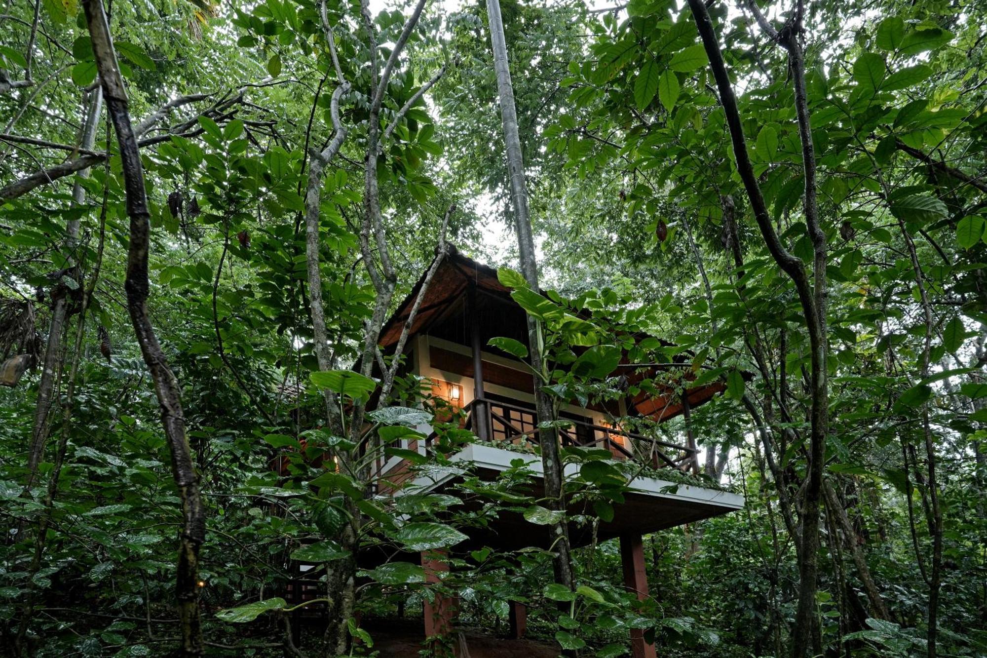 Coffee Acres Resort Kalpetta Εξωτερικό φωτογραφία