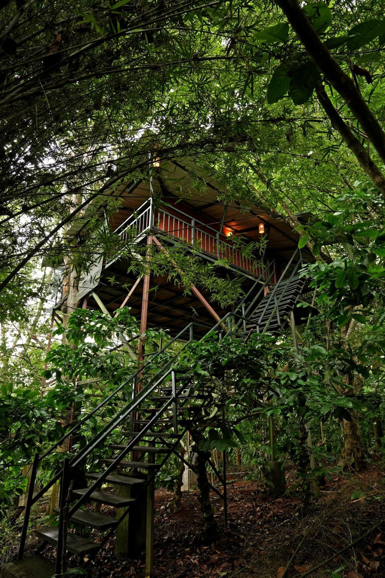 Coffee Acres Resort Kalpetta Εξωτερικό φωτογραφία