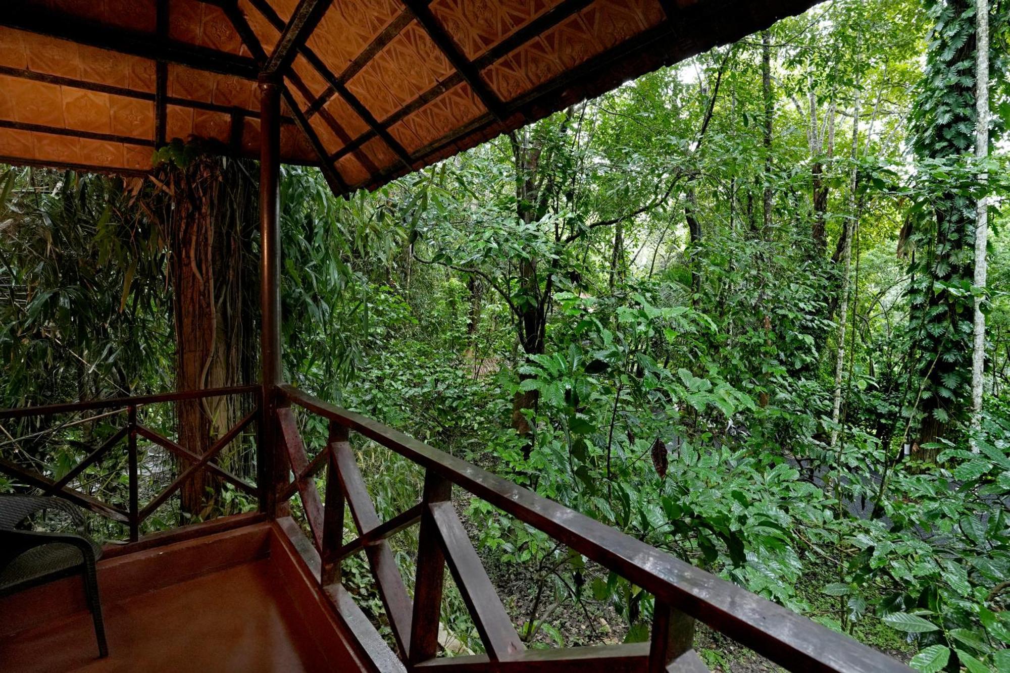 Coffee Acres Resort Kalpetta Εξωτερικό φωτογραφία